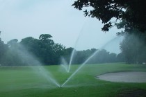 Environment body slams 15 golf courses over water usage