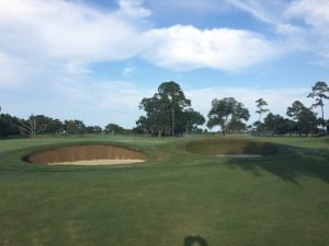 12-15-ecobunker-secession-gc-brown-or-green-face