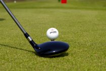 DLF launches chewings fescue cultivar Siskin at BTME