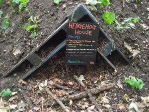 02-04 A hedgehog house at The Belfry