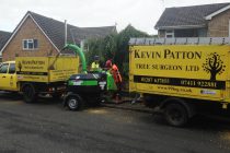 This is how a sub 750kg woodchipper helped a tree surgeon