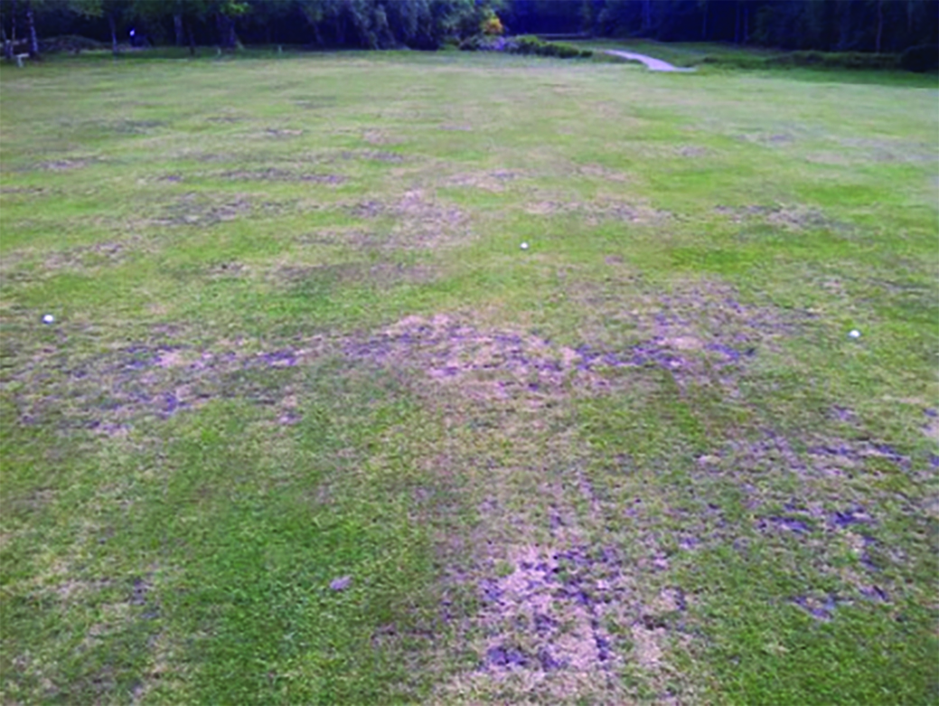 What are the benefits of fairway irrigation and how do you avoid the pitfalls? GreenKeeping