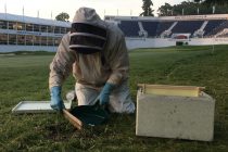 Support greenkeepers for BMW PGA Championship unveiled