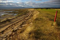 Pioneering saltmarsh project for Royal Dornoch GC’s battle against coastal erosion