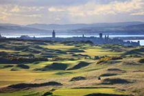 How does St Andrews Links Trust keep its turf in pristine condition?