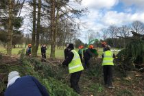 Minimal woodland management across 7 Fife golf courses comes to an end