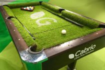 Cabrio tops ryegrass fineness of leaf ratings for third year