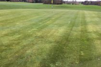 The fertilisers golf courses should use in spring