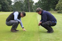 Bespoke seed mixture provides ‘the perfect blend’