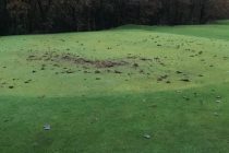 Spate of vandalism on UK golf courses towards the end of 2019