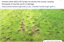 Escaped horses cause huge damage to golf course
