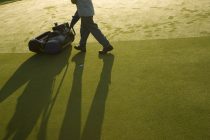 Greenkeepers can mow greens a maximum of three times per week