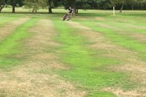 Why is overseeding essential?