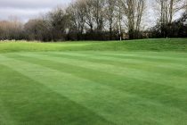 Xpedite® rescues Manor of Groves GC from seemingly unsolvable saturated greens