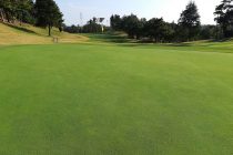 Germinal launches leading new bentgrass mixture
