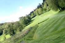 Advice and support secures the switch to Johnsons Sports Seed for Clevedon GC