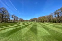 Johnsons mixture hailed ‘amazing’ for fairway recovery at Thorndon Park