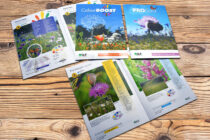 New Pro Flora and Colour Boost Catalogues – packed with new wild flower mixtures!