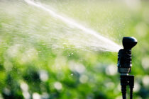 Greenkeepers use 29% less water than they did in 2005